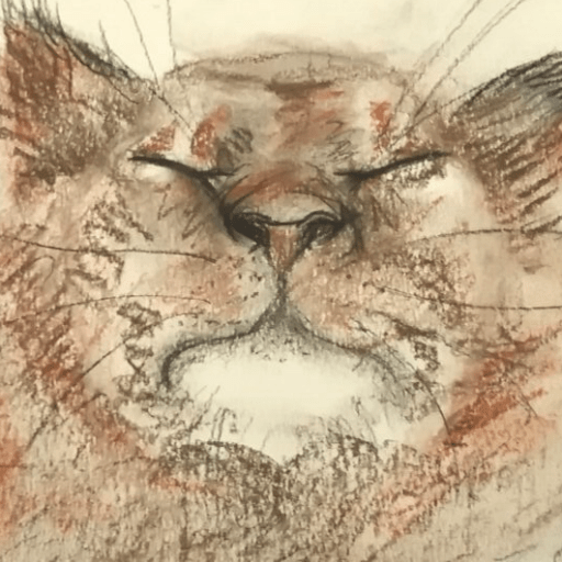 Chalk sketch of a lion by Isla Kennedy - Medically Unexplained
